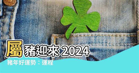 2024 豬年運程|2024屬豬幾歲、2024屬豬運勢、屬豬幸運色、財位、禁忌